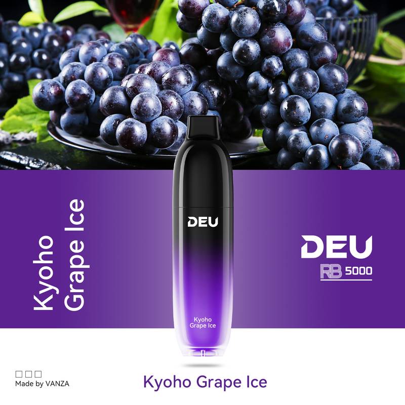DEU RB5000_KyohoGrapeIce