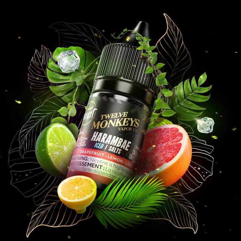 FBx12M_E-Liquid_HarambaeIced
